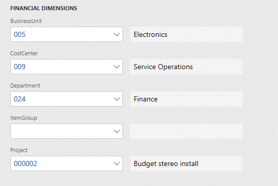 Screenshot of Financial dimensions FastTab.