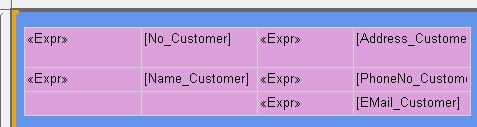 MicrosoftDynamicsNAV_CustomerData The layout containing the customer data