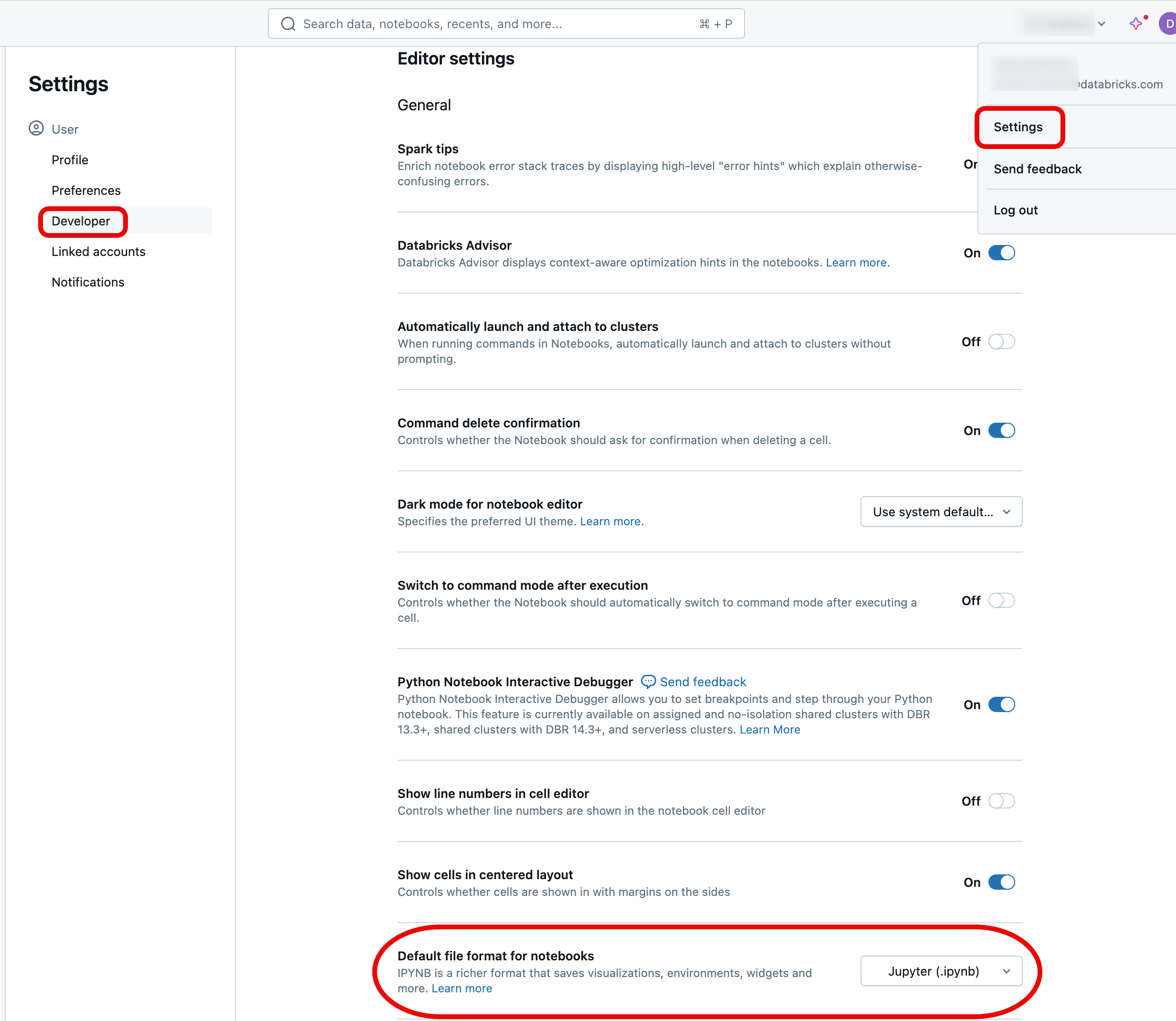 Ändern des Standardnotizbuchformats in den Entwicklereinstellungen Ihres Profils