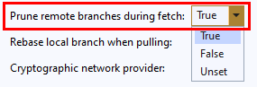 Screenshot der Einstellung **Prune remote branches during fetch** in Global Settings in Team Explorer in Visual Studio 2019.