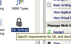 Image of Home pane with Authorization Rules highlighted.