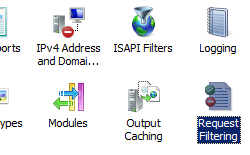 Screenshot that shows Request Filtering selected.