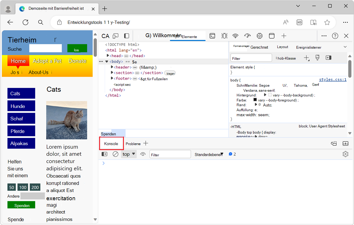Das Konsolentool im Bereich 