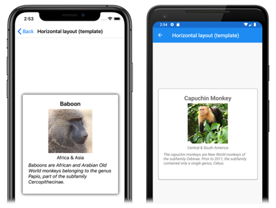 Vorlagenelemente in einer Karussellansicht Screenshot von CarouselView, in dem jedes Element vorlagen, unter iOS und Android