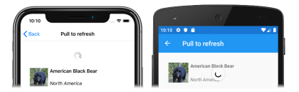 CollectionView-Pull-to-Refresh Screenshot der Pull-to-Refresh-Version von CollectionView unter iOS und Android