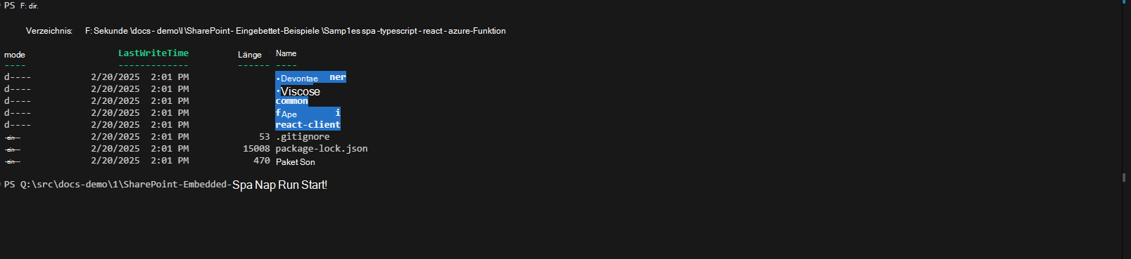 VS Code-Terminal im Stammordner des ZUVOR geklonten SPE Typescript-Projekts und npm run start-Befehl eingegeben