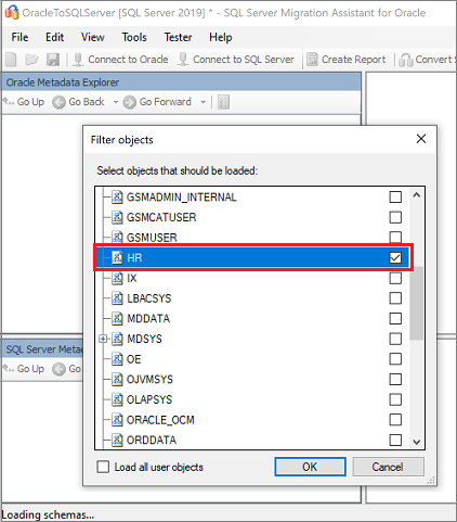 Screenshot des Bereichs „Objekte filtern“ zum Auswählen der zu ladenden Schemas.