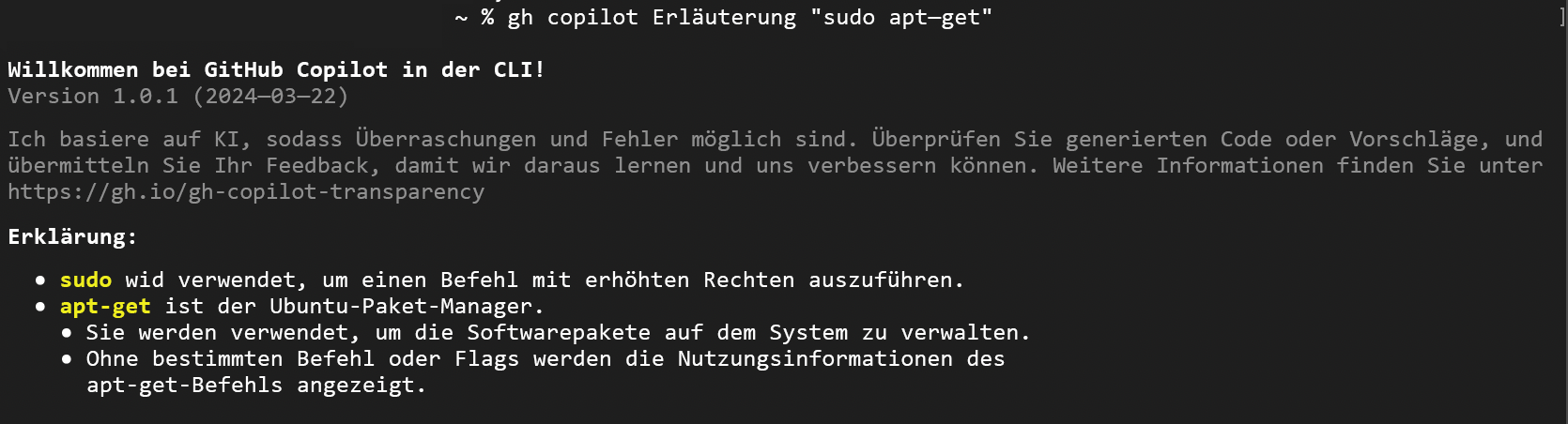Screenshot der Copilot CLI zur Erläuterung eines Befehls im interaktiven Modus.