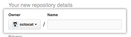 Screenshot des Besitzernames des neu importierten Repositorys.