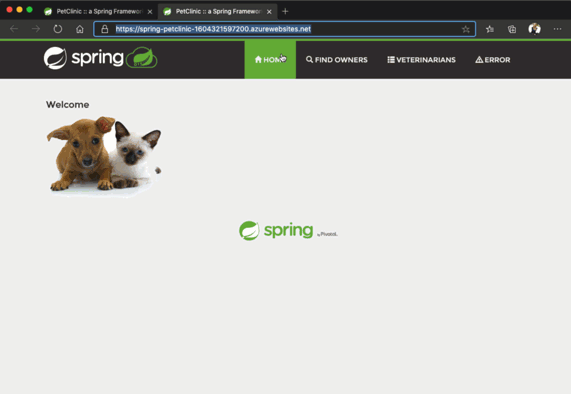 Screenshot der bereitgestellten Beispielanwendung für Tierkliniken.