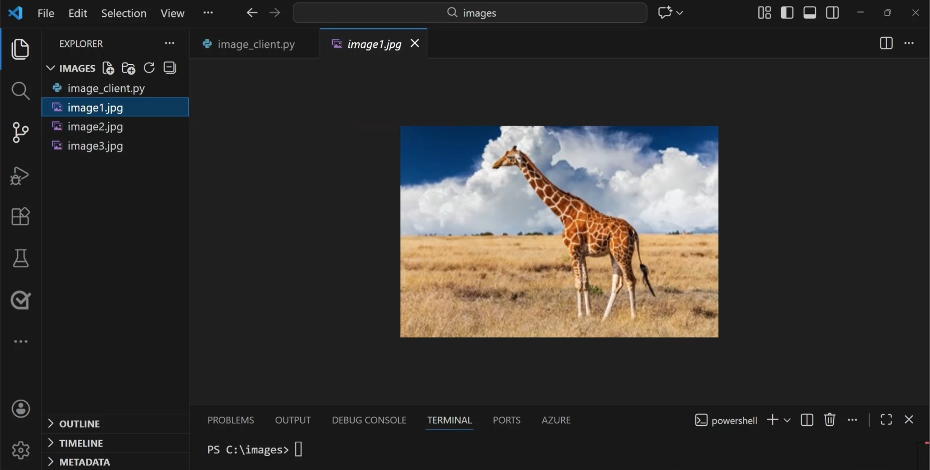 Screenshot des Bilds, das für die Bildanalyse verwendet wird.