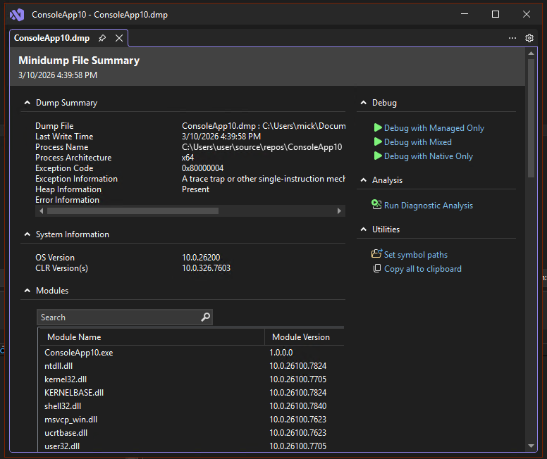 Screenshot der Minidump-Zusammenfassungsseite.