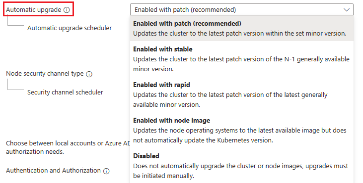 Screenshot of the automatic upgrade field that shows Enabled with patch (recommended) selected.