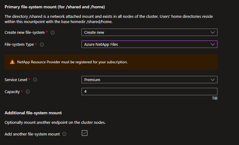 Screenshot of the File-system mount for /shared and /home Azure NetApp files create new options screen.