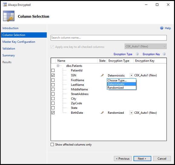 Figura 9-6 Selección de columnas en una tabla que se va a cifrar mediante Always Encrypted