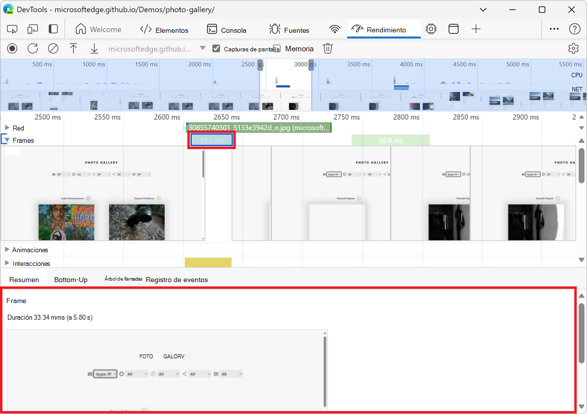 Visualización de un marco en la pestaña Resumen