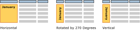 rs_TextBoxOrientation rs_TextBoxOrientation
