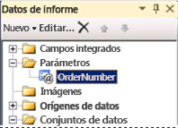 El nuevo parámetro es agregado al panel Datos de informe