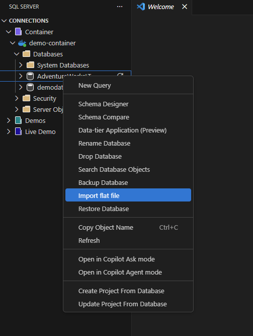 Captura de pantalla de la opción Importar archivo plano en el menú contextual del Explorador de objetos.