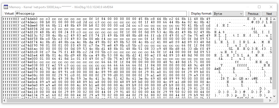 Captura de pantalla de la ventana de memoria de la vista WinDbg con varias opciones de formato de visualización.