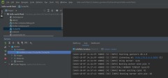 Captura de pantalla que muestra un ejemplo de ejecución de un contenedor en PyCharm.