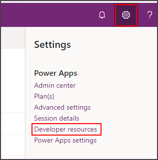 Screenshot of the Developer resources menu in Power Apps settings.