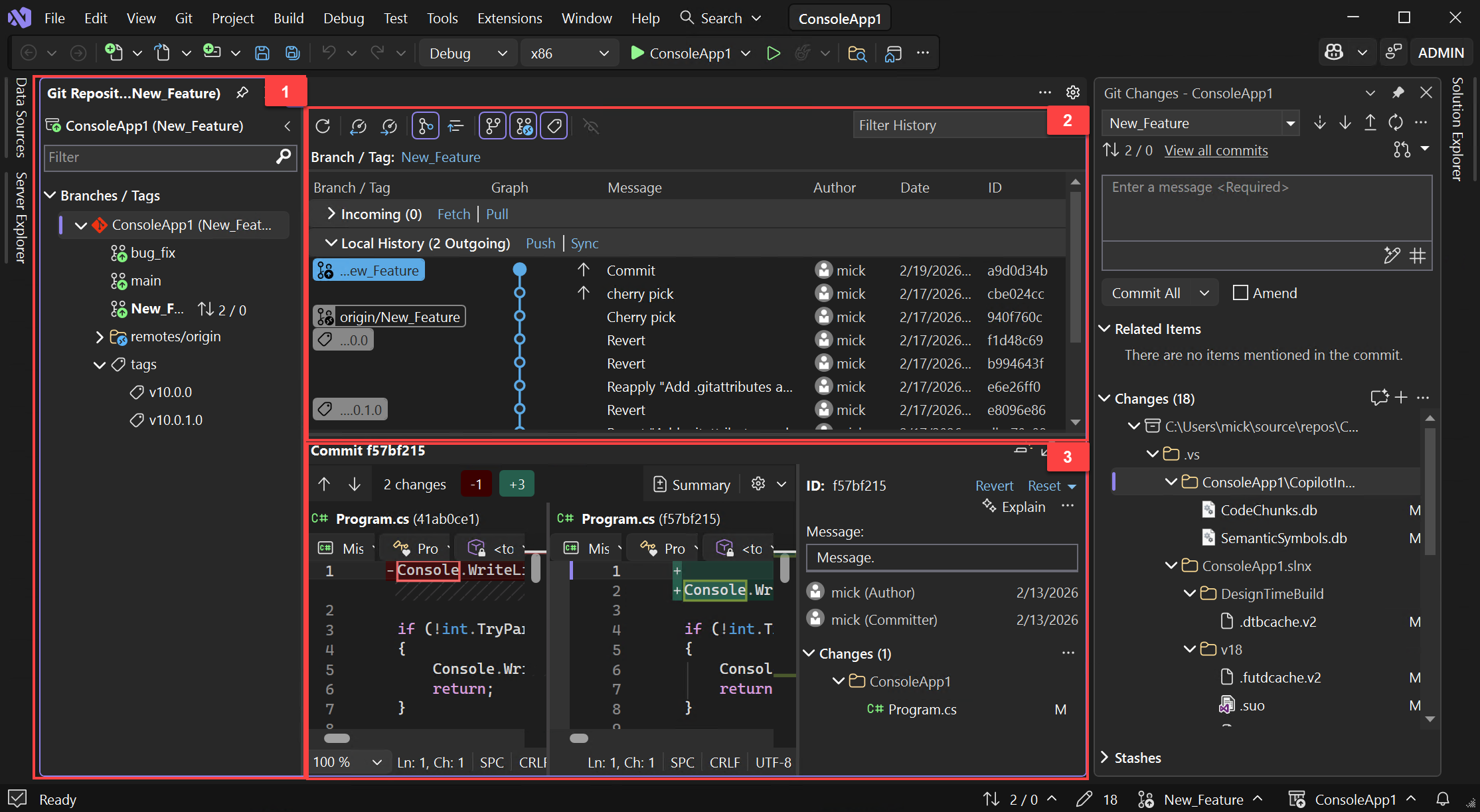 Screenshot that shows the anatomy of the Git Repository window.