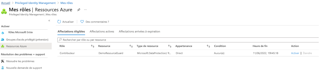 Capture d’écran montrant comment activer des attributions éligibles.