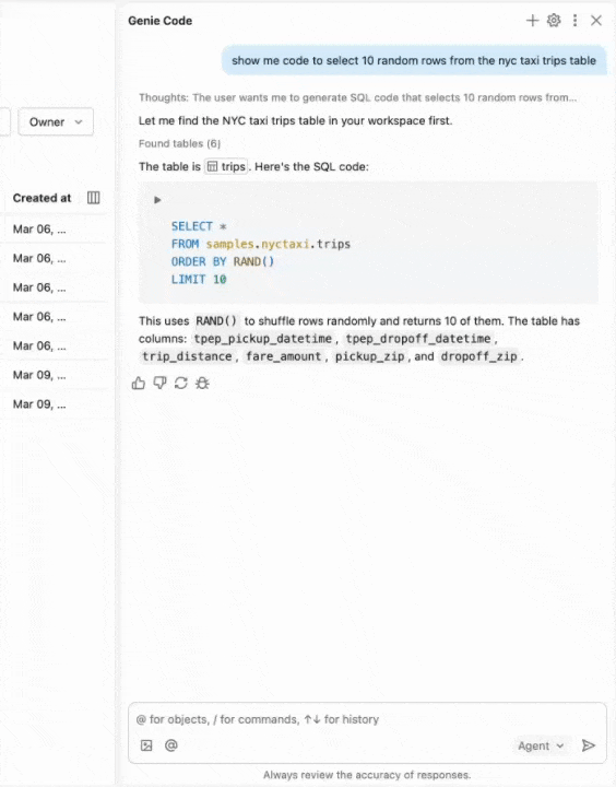 Exécutez du code SQL dans le volet Assistant.