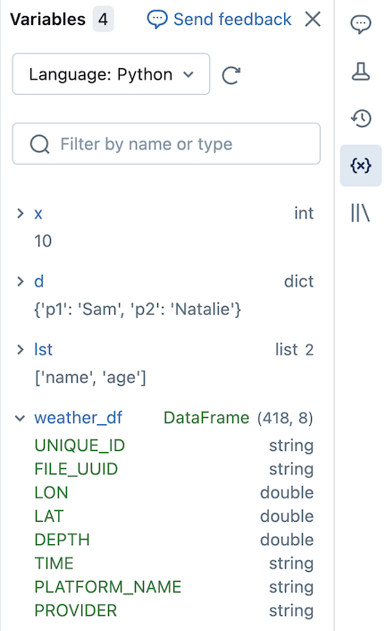 Exemple de panneau d’explorateur de variables