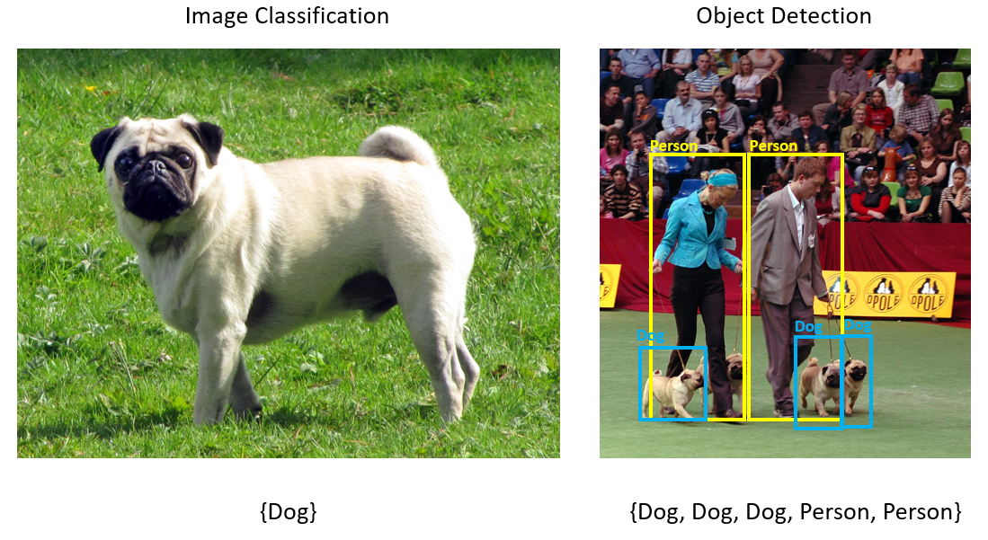 Captures d’écran montrant la classification d’images et la classification d’objets.