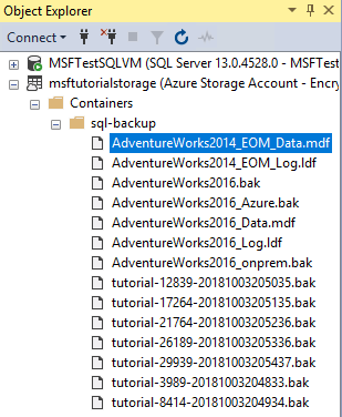 Capture d’écran du navigateur de stockage de SQL Server Management Studio des conteneurs Azure montrant les données et les fichiers journaux de la nouvelle base de données.