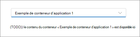 Capture d’écran de l’application React après avoir sélectionné un conteneur.