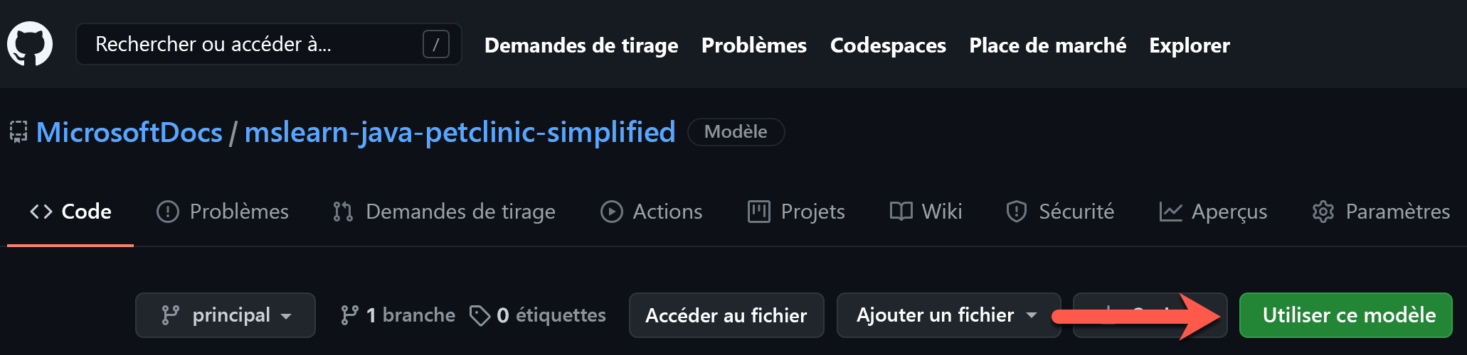 Capture d’écran du bouton «&nbsp;utiliser ce modèle&nbsp;» sur la page principale mslearn-java-petclinic-simplified.