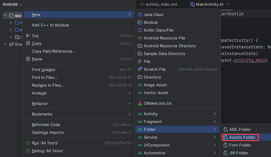 Screenshot dell'opzione Cartelle asset.