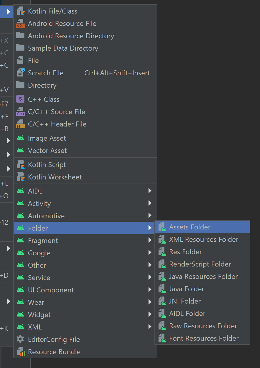  Screenshot dell'opzione della cartella Assets.