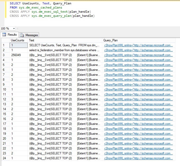 Risultati di interrogazione delle viste di gestione dinamica in SQL Server Management Studio