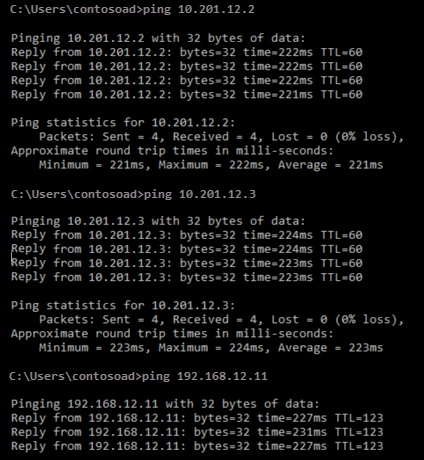 Screenshot che mostra il comando ping e i risultati del ping.