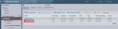 Screenshot di una pagina nel sito del server ESXi che mostra il riquadro Strumento di navigazione con l'opzione Archiviazione selezionata.
