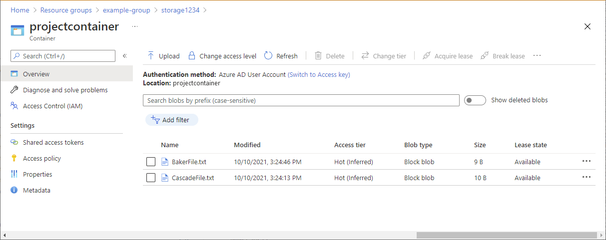 Screenshot del contenitore di archiviazione con i file di test.