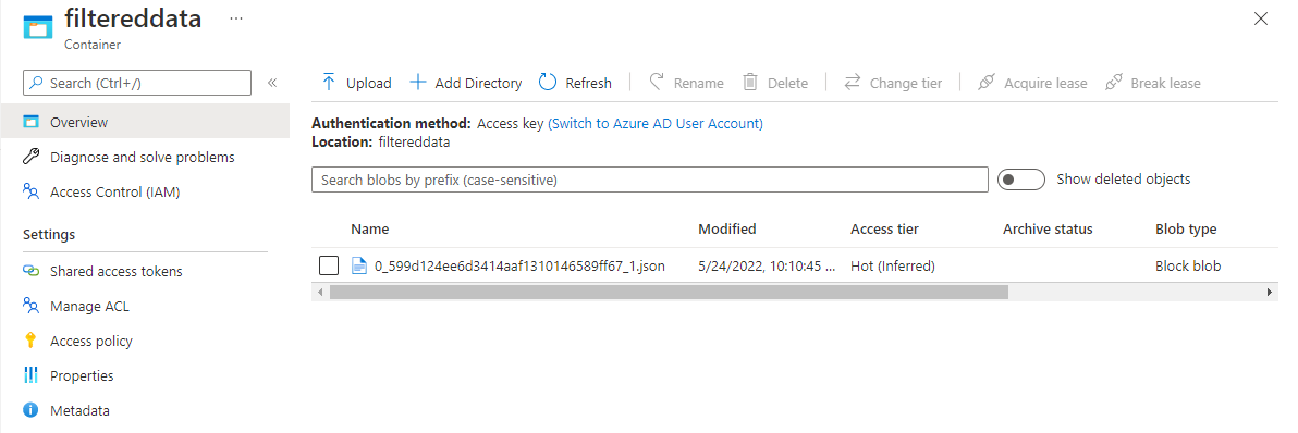 Screenshot che mostra il file generato con dati filtrati in Azure Data Lake Storage.