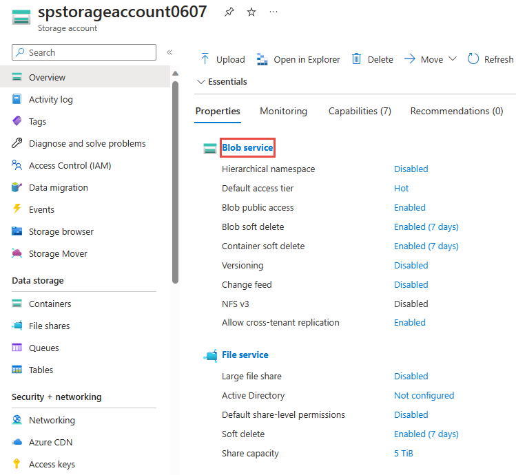 Screenshot che mostra la pagina di panoramica dell'account di archiviazione con il servizio BLOB selezionato.