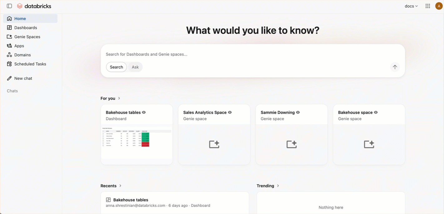 Chat in Databricks One.