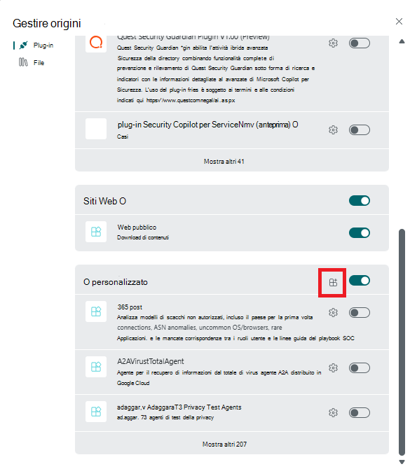 Screenshot della sezione Personalizzata del plug-in.