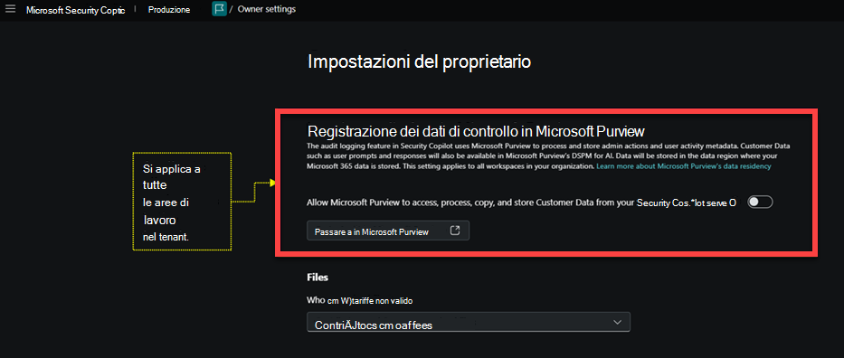 Immagine della pagina delle impostazioni del proprietario con i dati di controllo di registrazione evidenziati.