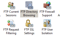 Screenshot del riquadro Home. L'esplorazione della directory F T P è evidenziata.