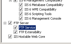 Screenshot che mostra l'opzione F T P Extensibility selezionata per Windows Server 2008.
