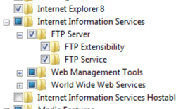 Screenshot della sottocartella F T Service F della cartella Internet Information Services.