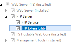 Screenshot della pagina Ruoli server con il nodo F T P Server espanso e L'estendibilità F T P selezionata.