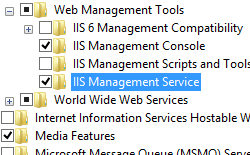 Screenshot che mostra l'opzione I S Management Service selezionata per Windows 8.